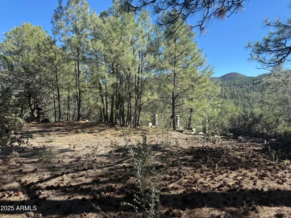 $75,000 | 6536 90 And 9 Road, Crown King, AZ 86343