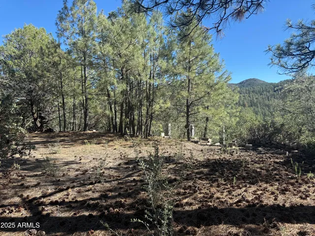 $75,000 | 6536 90 And 9 Road, Crown King, AZ 86343