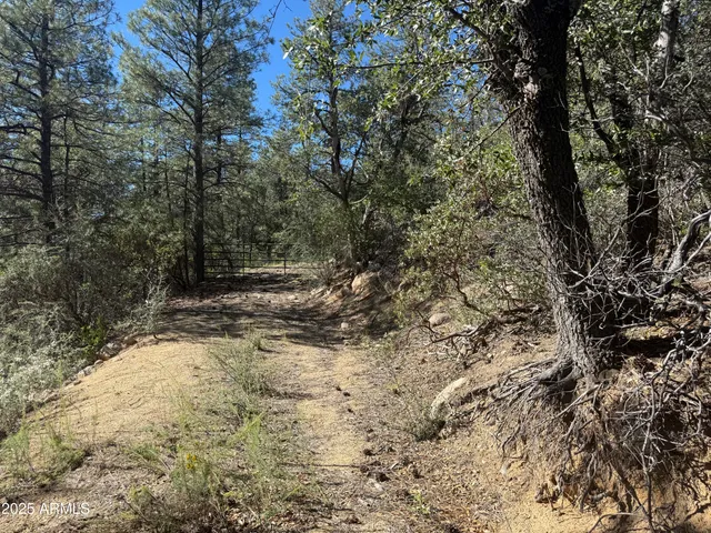 $75,000 | 6536 90 And 9 Road, Crown King, AZ 86343