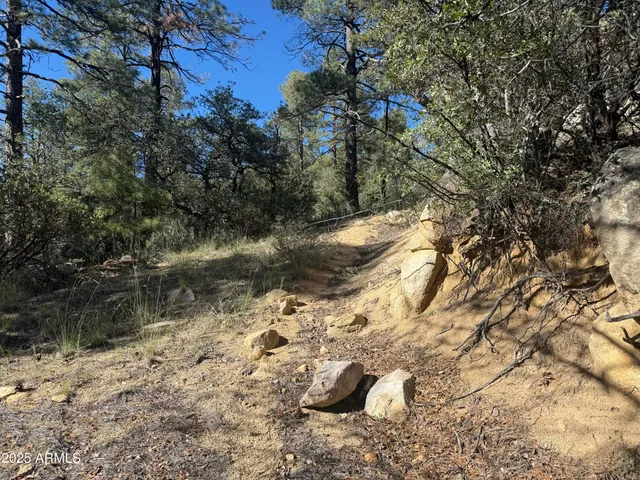 $75,000 | 6536 90 And 9 Road, Crown King, AZ 86343