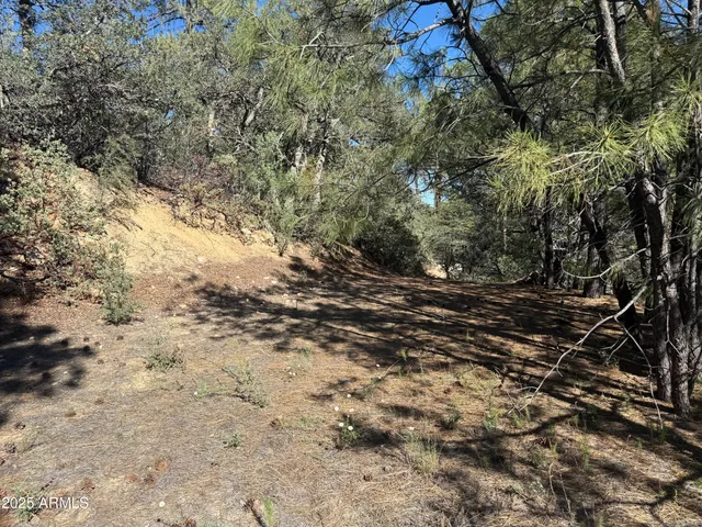 $75,000 | 6536 90 And 9 Road, Crown King, AZ 86343