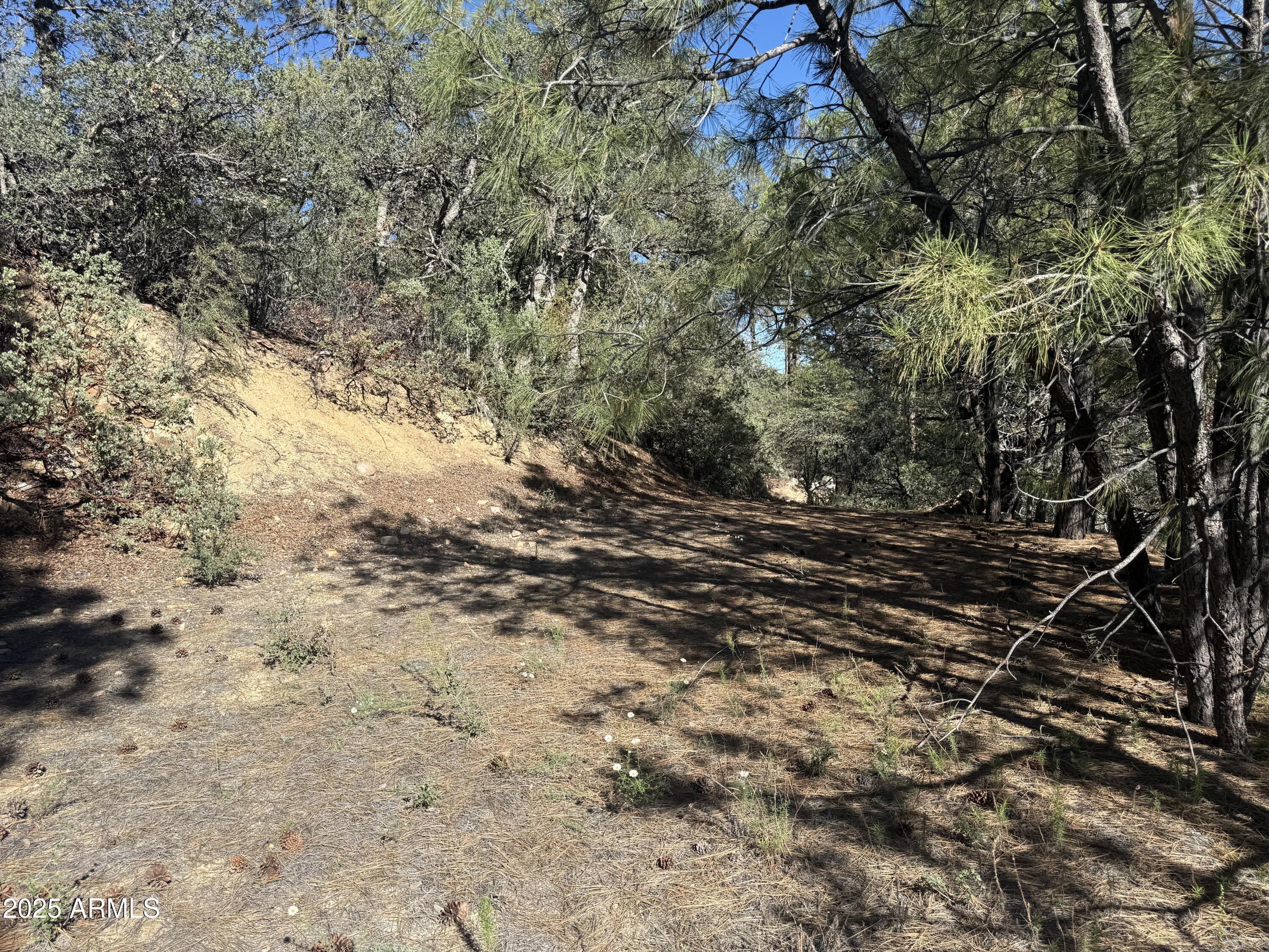 6536 90 And 9 Road Crown King, AZ 86343 - Photo 13 of 16 Building area