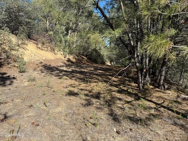 $75,000 | 6536 90 And 9 Road, Crown King, AZ 86343