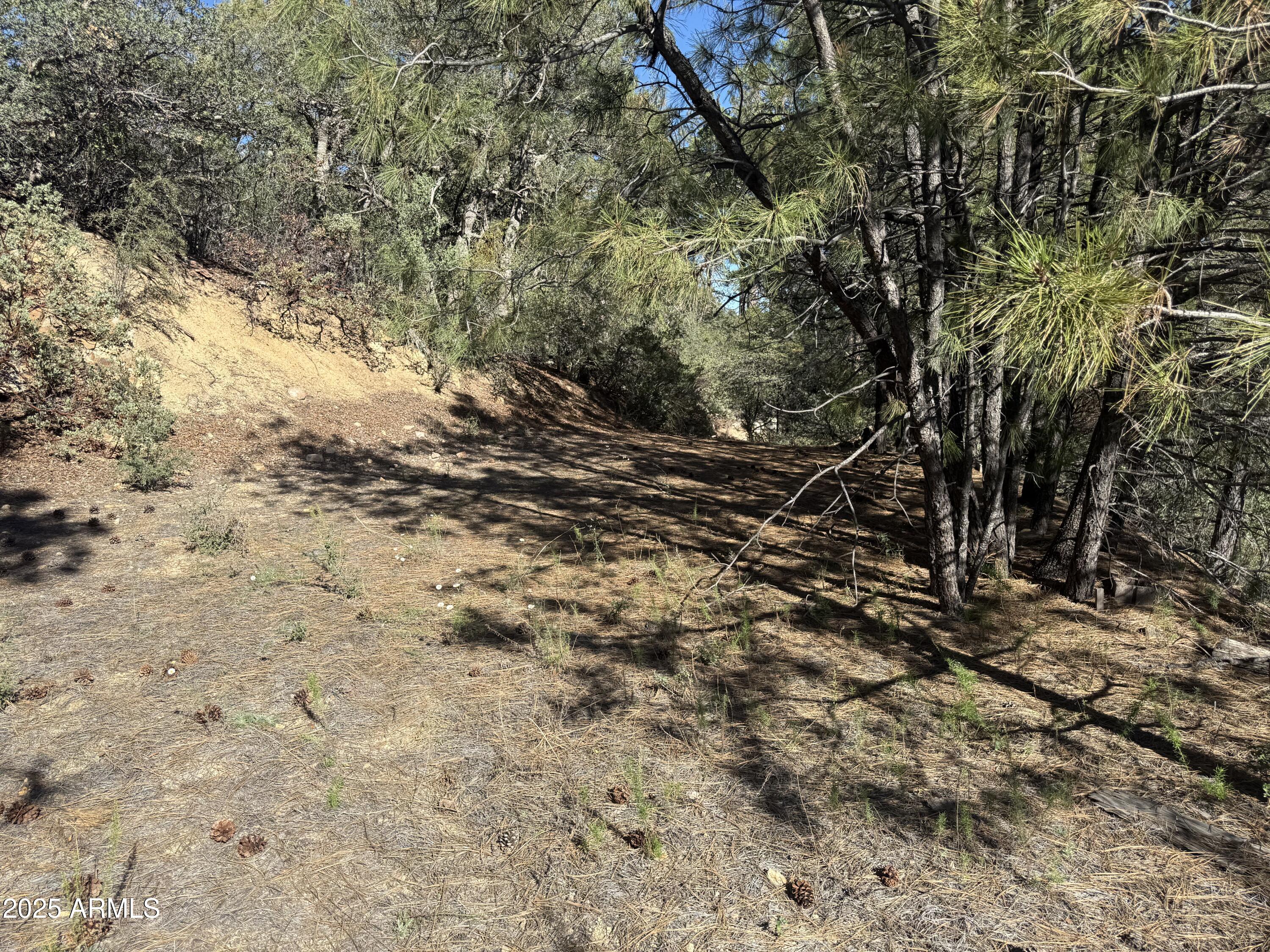 6536 90 And 9 Road Crown King, AZ 86343 - Photo 14 of 16 Building area