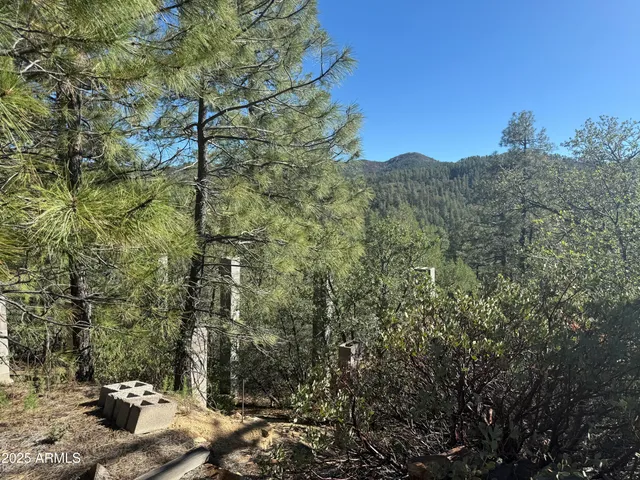 $75,000 | 6536 90 And 9 Road, Crown King, AZ 86343