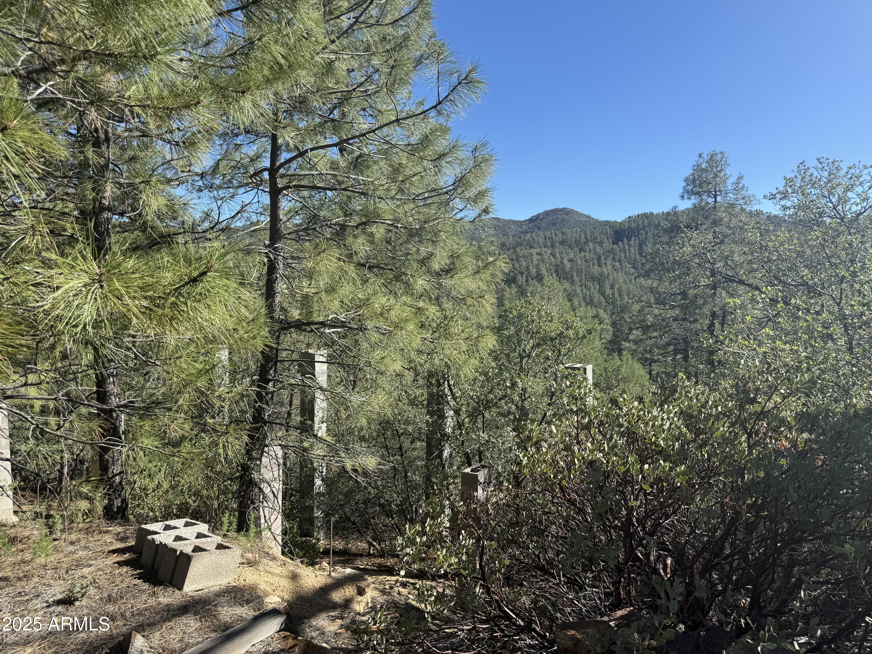 6536 90 And 9 Road Crown King, AZ 86343 - Photo 15 of 16 Views from building area