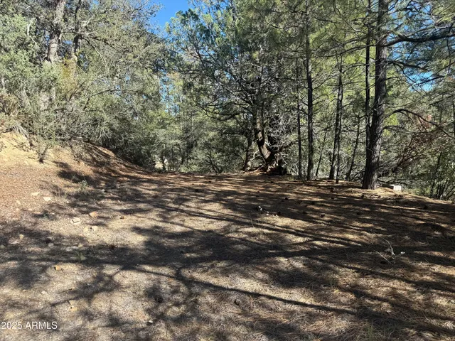 $75,000 | 6536 90 And 9 Road, Crown King, AZ 86343