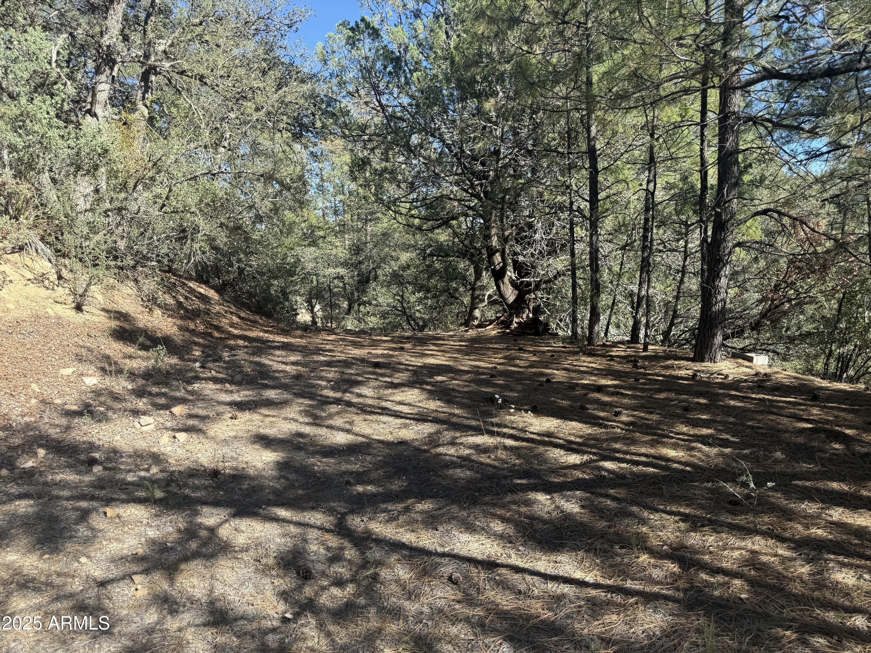 6536 90 And 9 Road Crown King, AZ 86343 - Photo 16 of 16 Building area