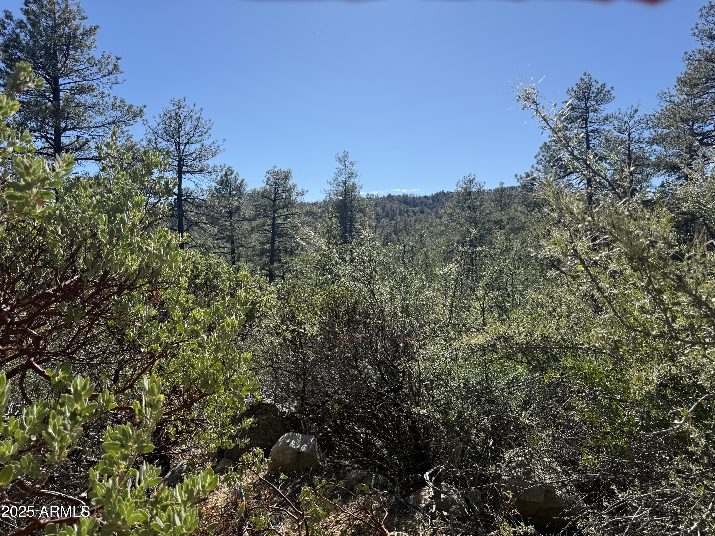 6536 90 And 9 Road Crown King, AZ 86343 - Photo 2 of 16 Views