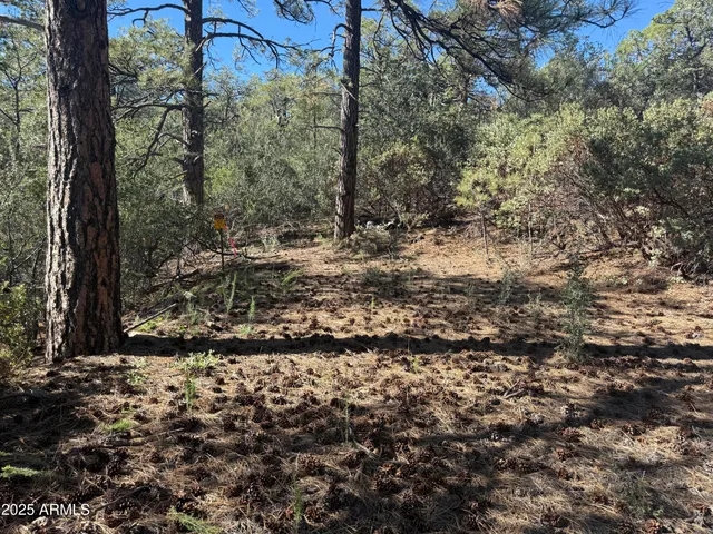 $75,000 | 6536 90 And 9 Road, Crown King, AZ 86343