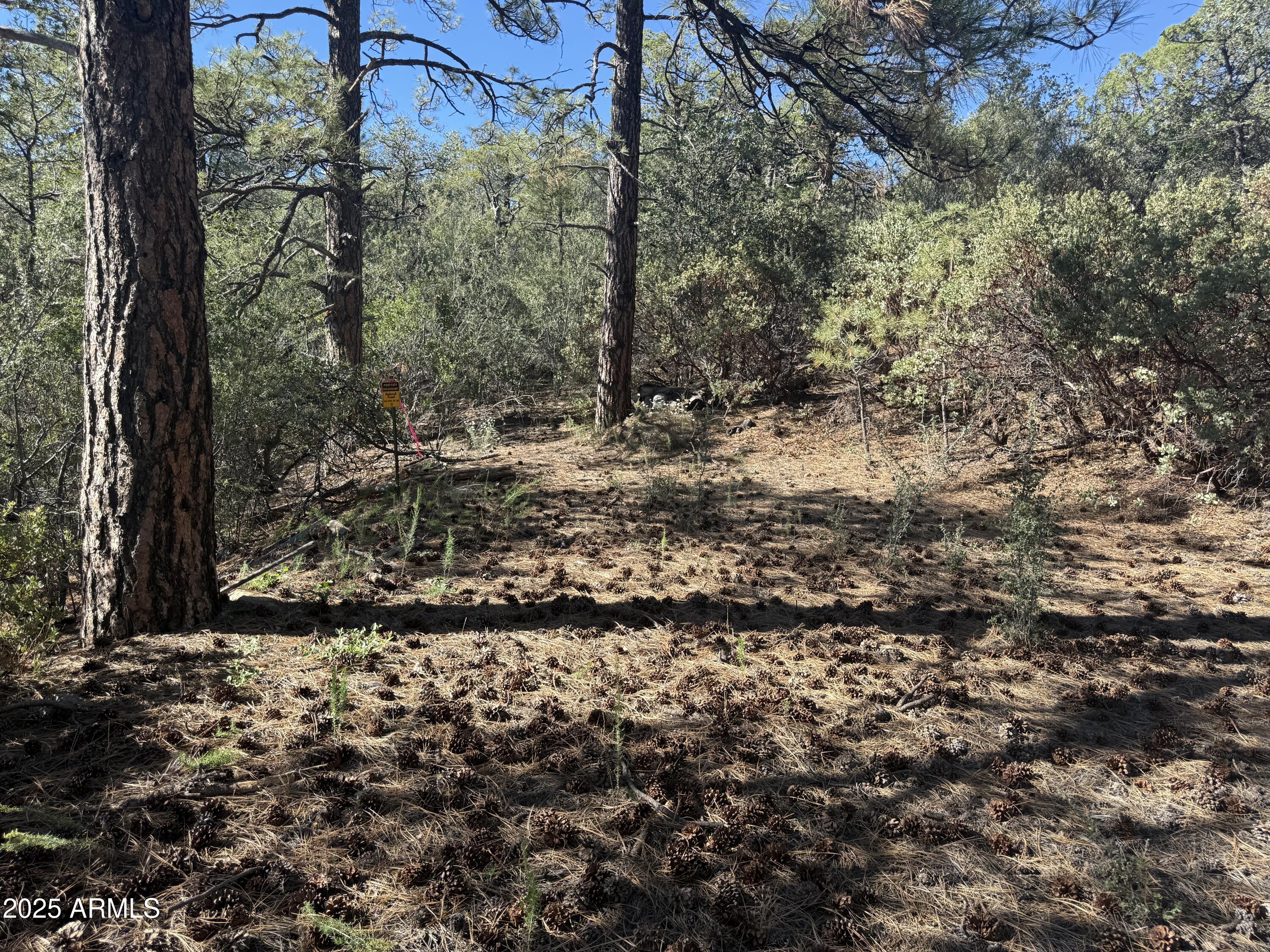 6536 90 And 9 Road Crown King, AZ 86343 - Photo 3 of 16 Borders national forest