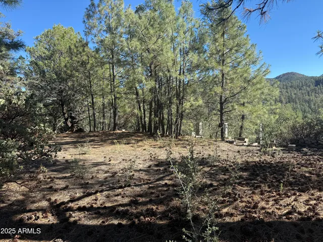 $75,000 | 6536 90 And 9 Road, Crown King, AZ 86343