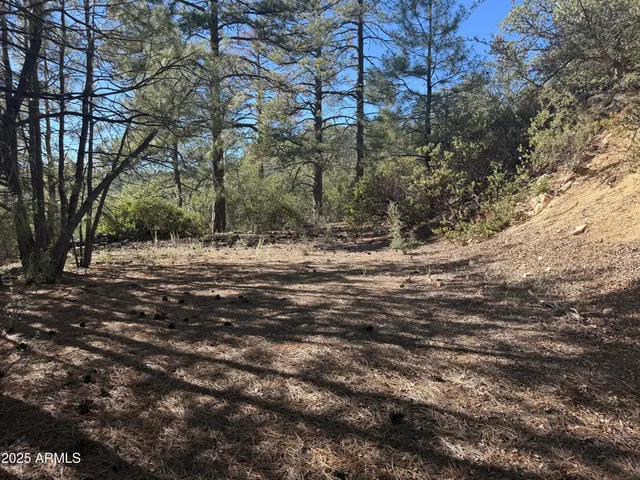 $75,000 | 6536 90 And 9 Road, Crown King, AZ 86343