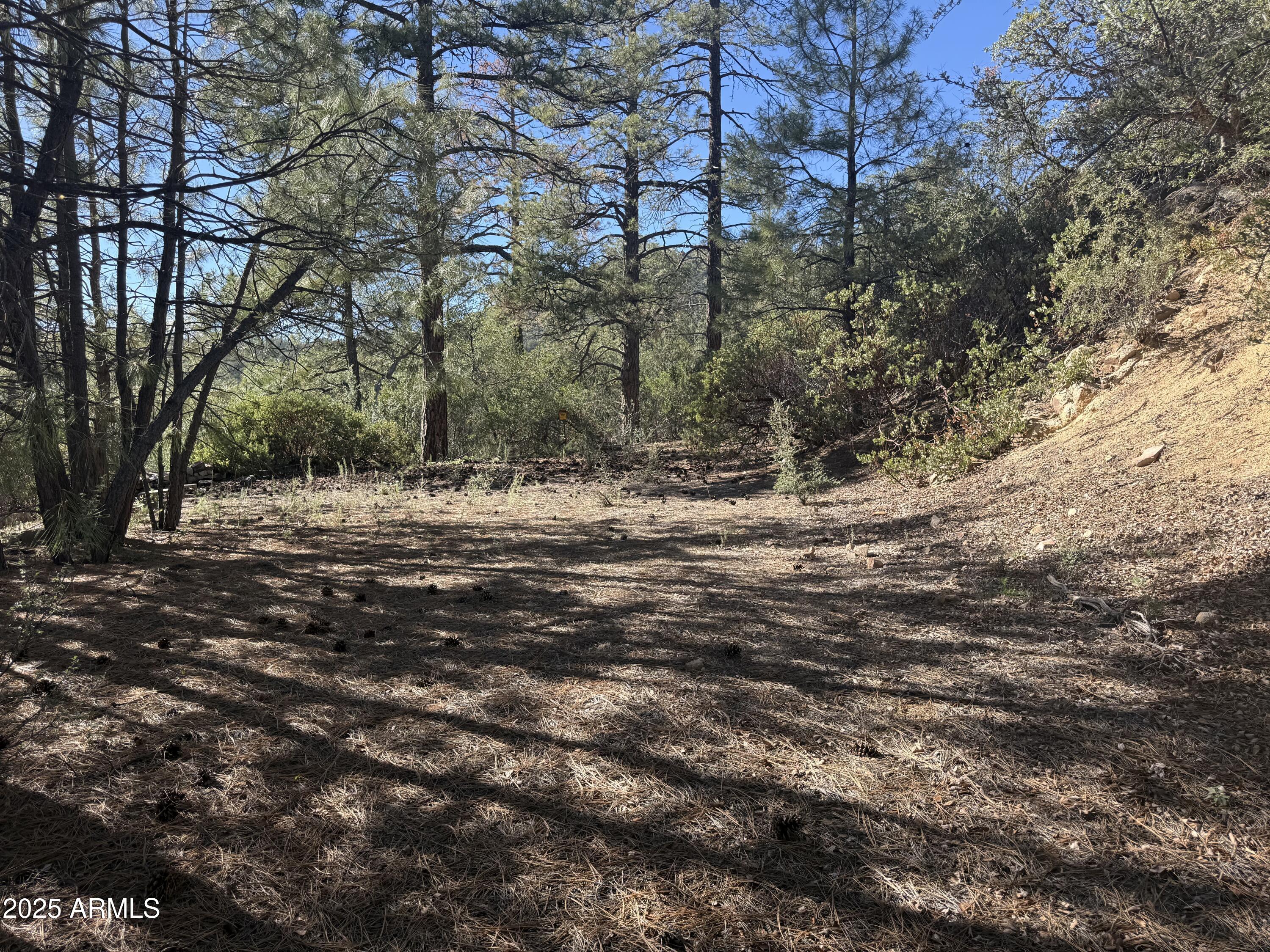6536 90 And 9 Road Crown King, AZ 86343 - Photo 6 of 16 Building area