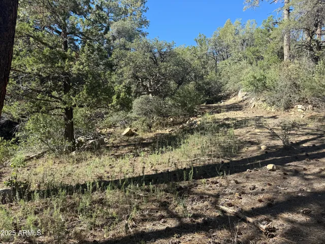 $75,000 | 6536 90 And 9 Road, Crown King, AZ 86343