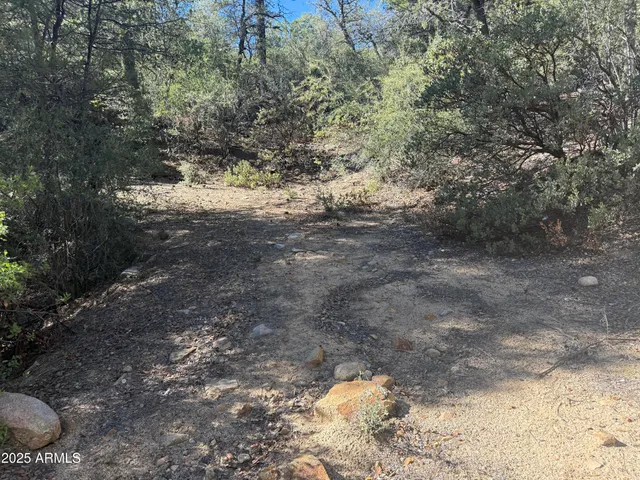 $75,000 | 6536 90 And 9 Road, Crown King, AZ 86343