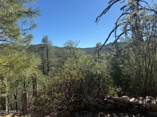 $75,000 | 6536 90 And 9 Road, Crown King, AZ 86343