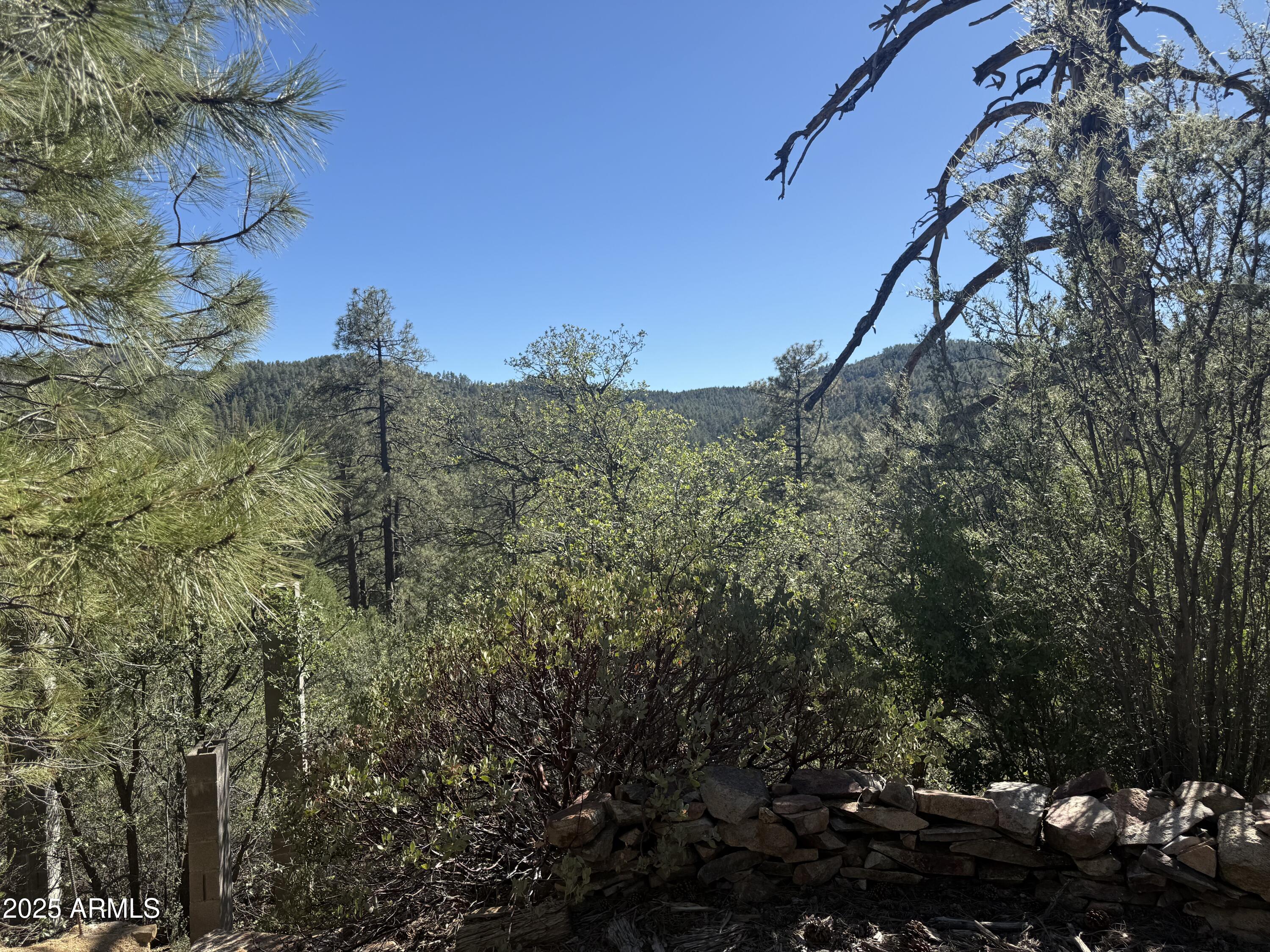 6536 90 And 9 Road Crown King, AZ 86343 - Photo 10 of 16 Views