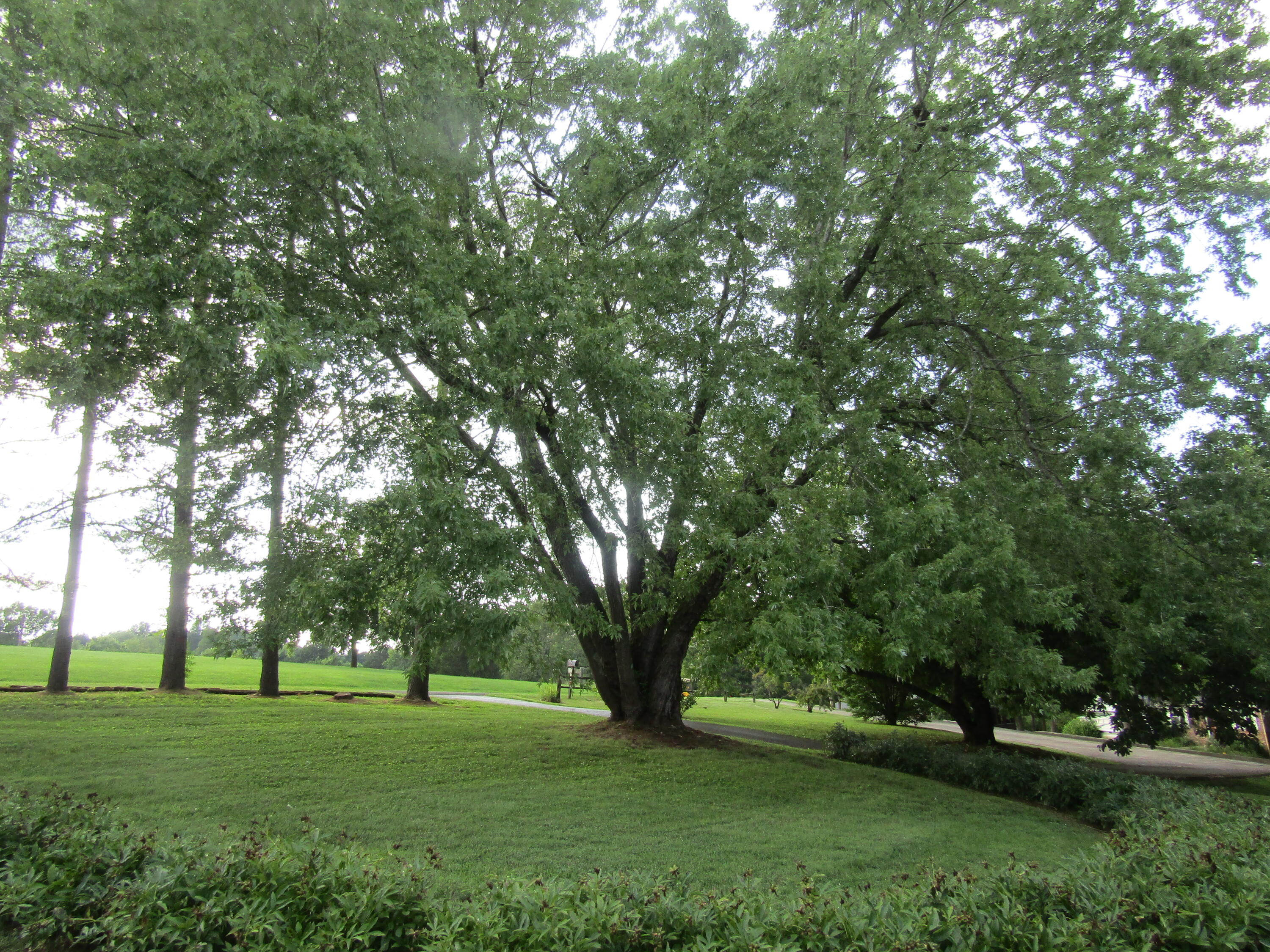 1122 Taylor Road Danville, KY 40422 - Photo 13 of 46 IMG_0440