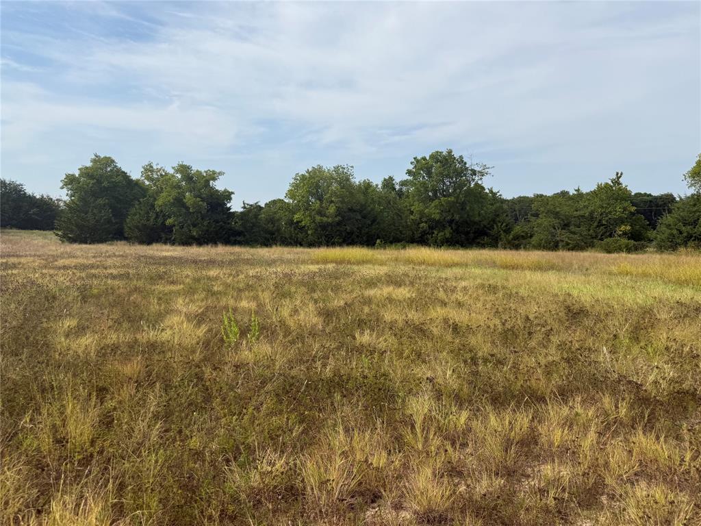 Tbd Rose Hill Road Whitewright, TX 75491 - Photo 5 of 12 Gallery Image 5