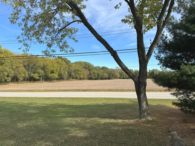 a view of yard with green space