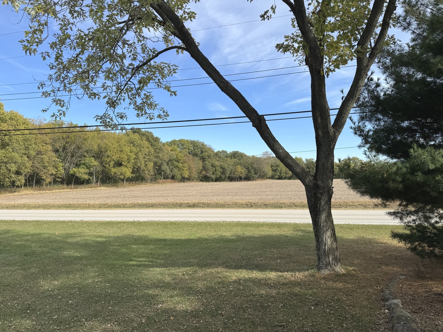 3288 South Hieland Road St. Anne, IL 60964 - Photo 6 of 45 a view of yard with green space