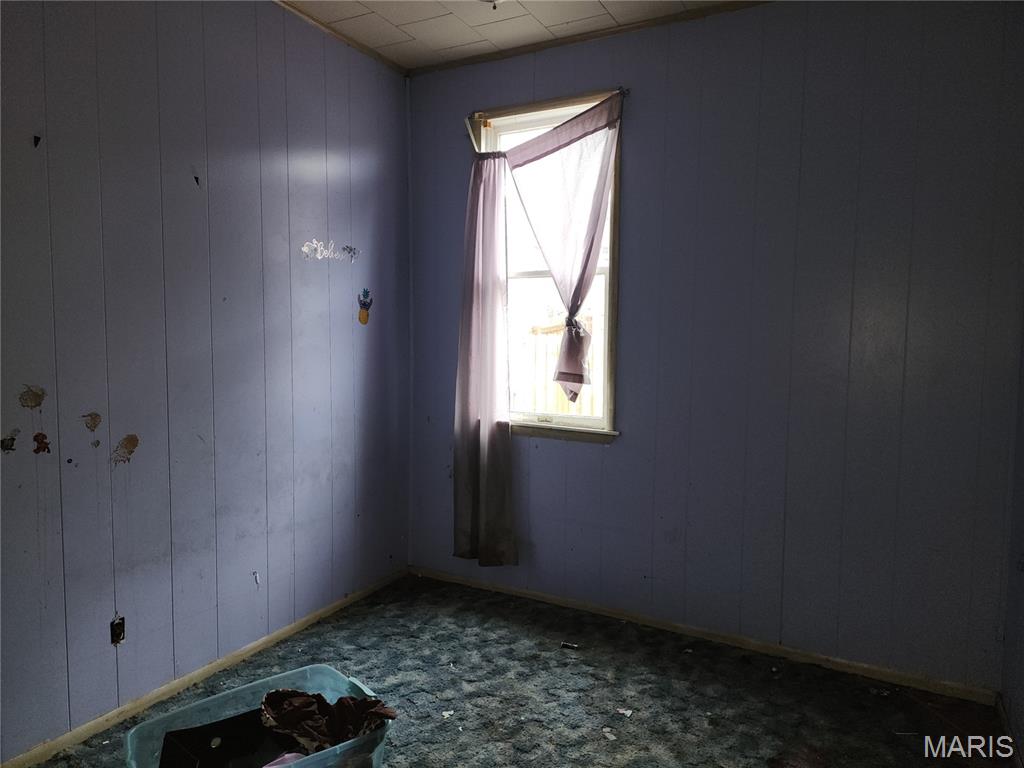 416 East 6th Street Staunton, IL 62088 - Photo 19 of 25