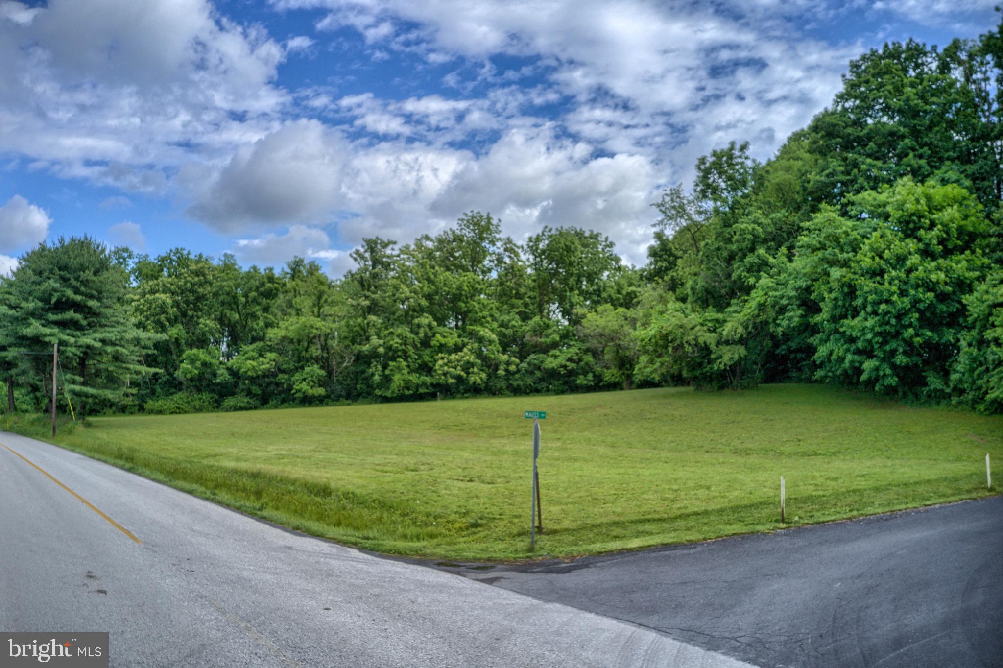 Lot 1 Stone Jug Road Biglerville, PA 17307 - Photo 2 of 9 Gallery Image 2