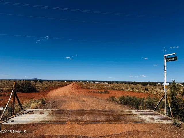 a view of a field with an ocean