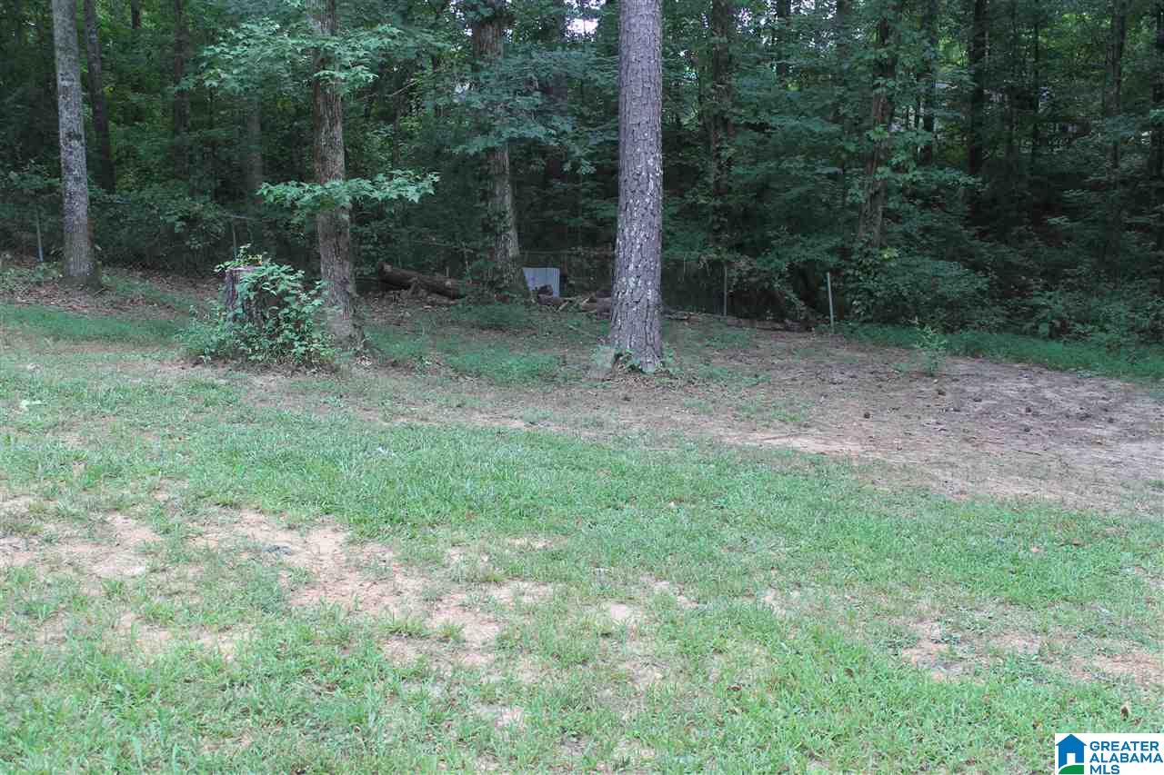 179 Riverview Lane Ohatchee, AL 36271 - Photo 26 of 29