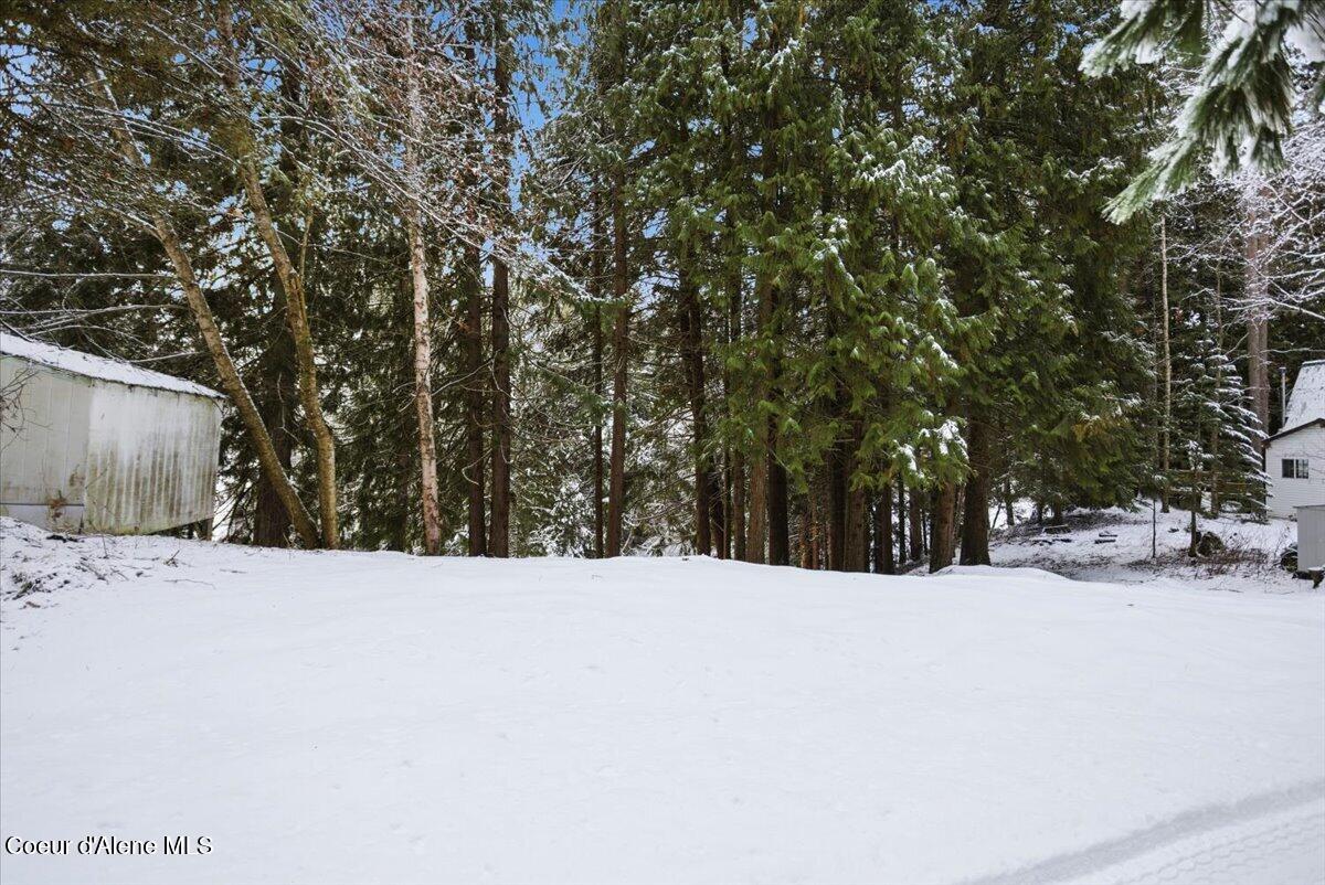Lot 4 Hidden Harbor Lane Sandpoint, ID 83864 - Photo 4 of 15 Wooded