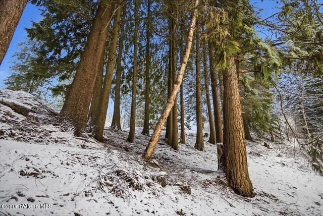 $250,000 | Lot 4 Hidden Harbor Lane, Sandpoint, ID 83864