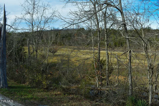 $225,000 | 132 Bellamy Lane, Rogersville, TN 37857