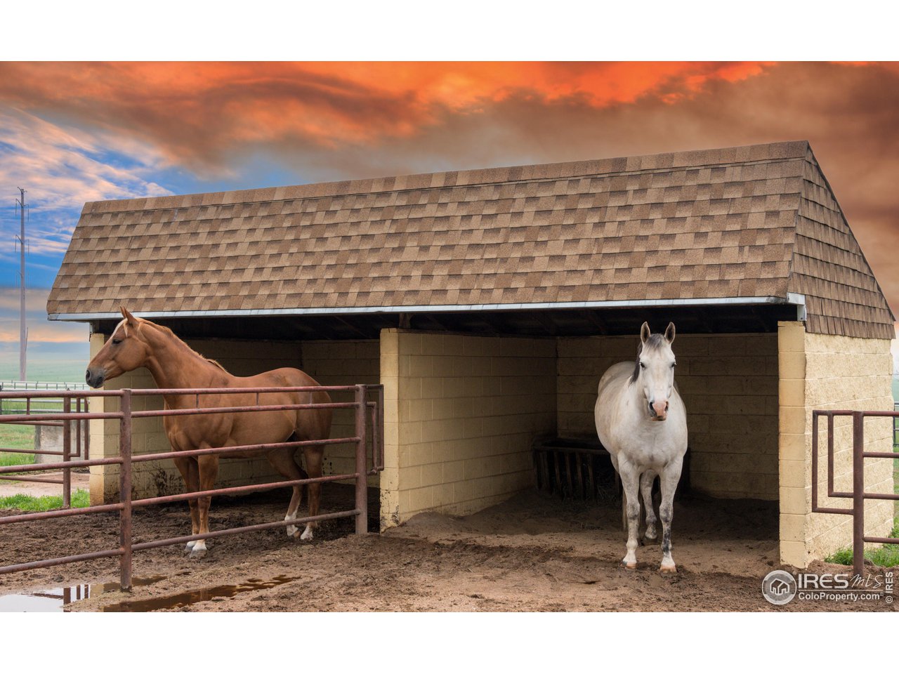 10024 Lookout Road Lafayette, CO 80026 - Photo 23 of 37 One of two cinder block loafing sheds with pipe panel runs.