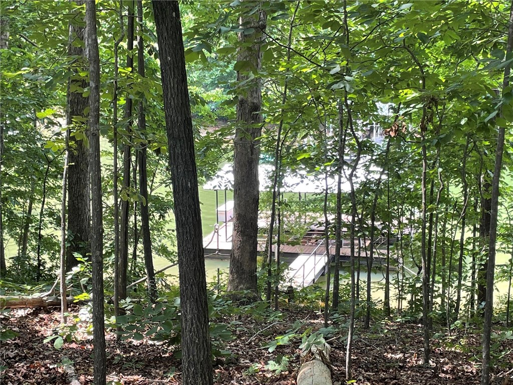 1204 Cartee Road Anderson, SC 29625 - Photo 5 of 11