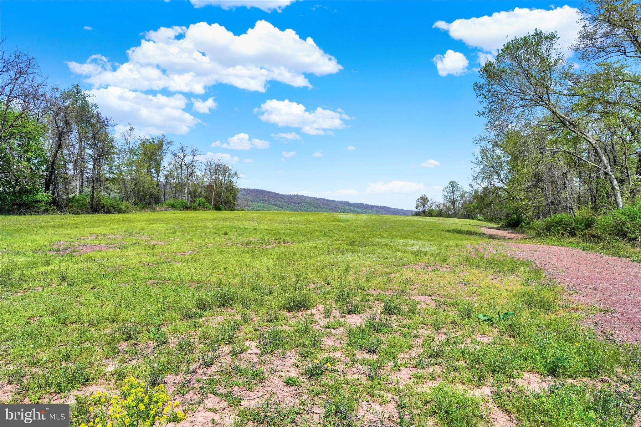 0 Red Hill Road Dauphin, PA 17018 - Photo 9 of 9