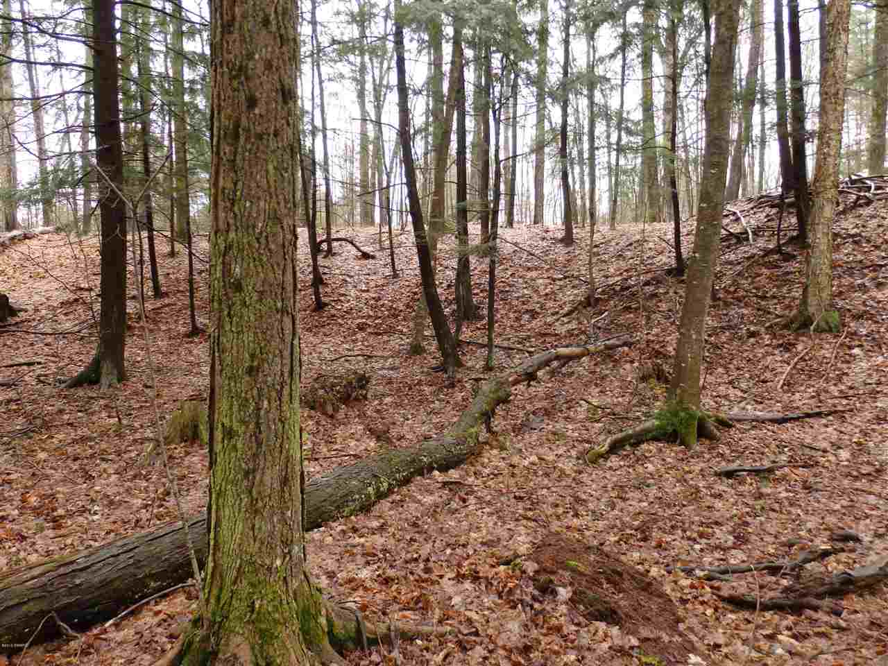 Oravainen Road, Unit PARCEL B Kaleva, MI 49645 - Photo 17 of 25
