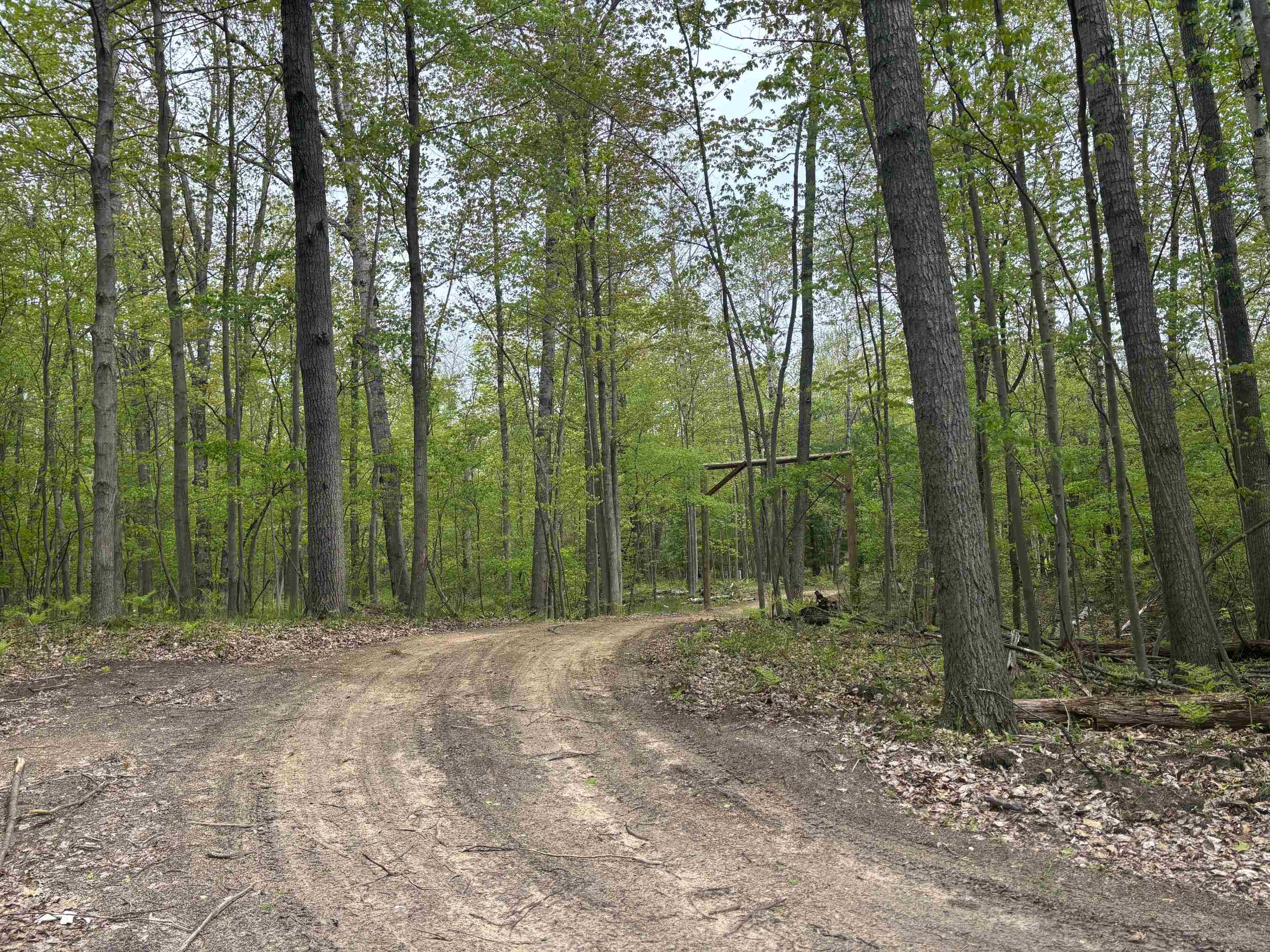 1240 Birch Ridge Road Gladwin, MI 48624 - Photo 26 of 41