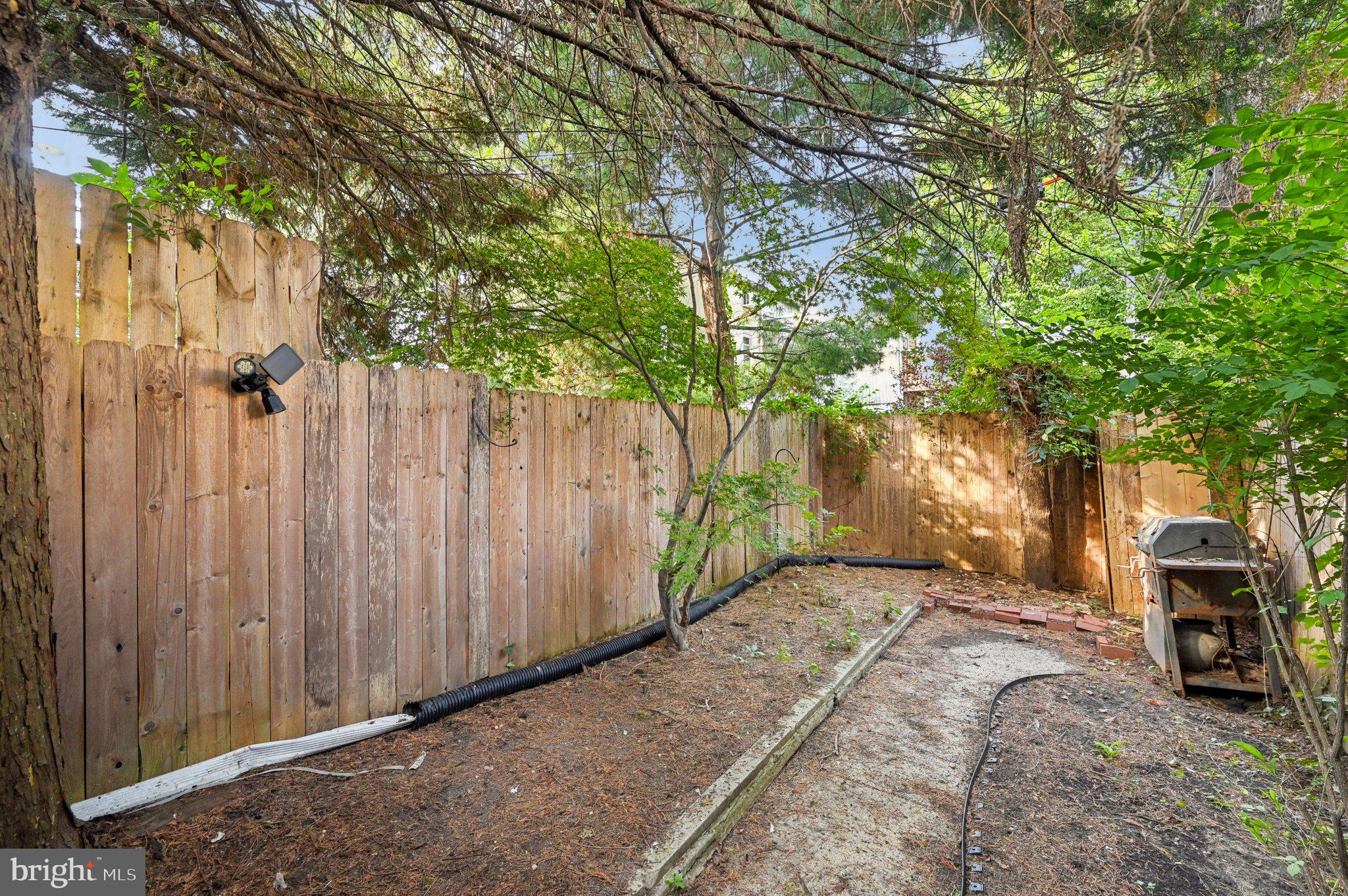 110 South Poppleton Street Baltimore, MD 21201 - Photo 33 of 39 a view of a backyard with wooden fence and a large tree