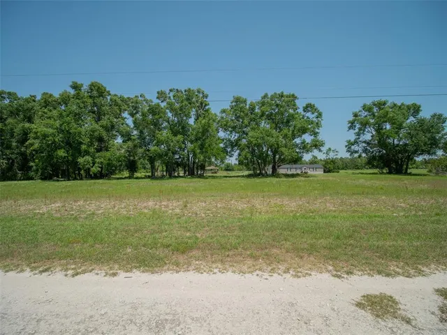 a view of a lake with lawn chairs and a large tree