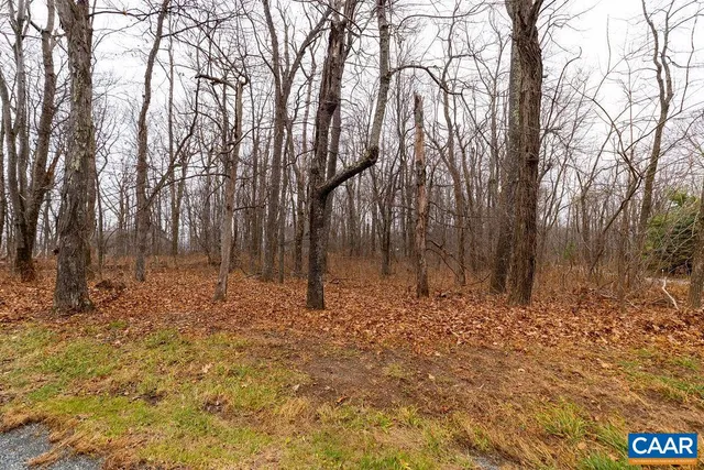 a wooden cabinet with view of trees in the background