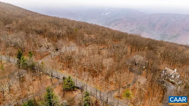 a close up of a plant
