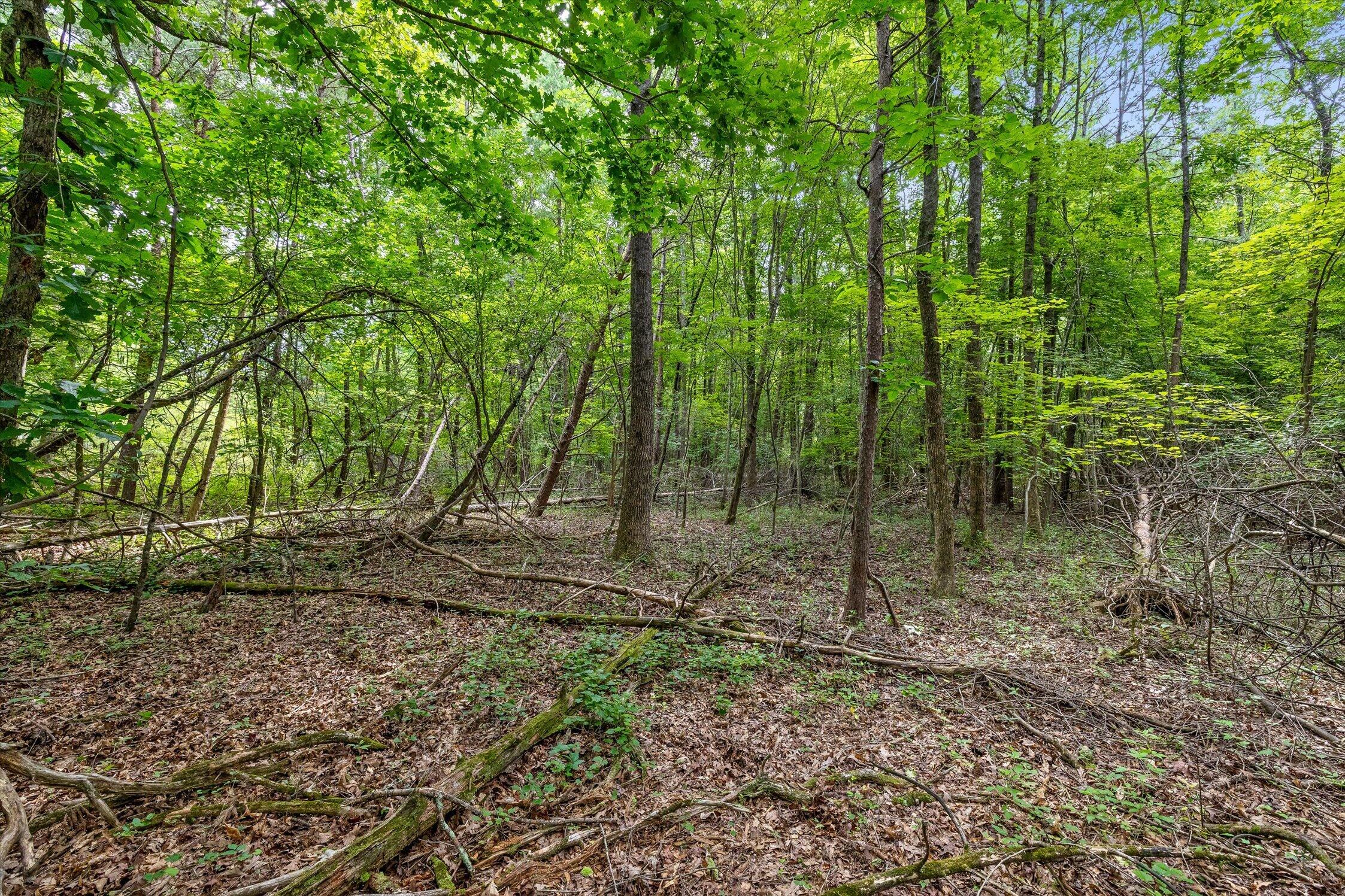 1906 Spradling Road Soddy-Daisy, TN 37379 - Photo 12 of 27 13-1906 Spradling-10