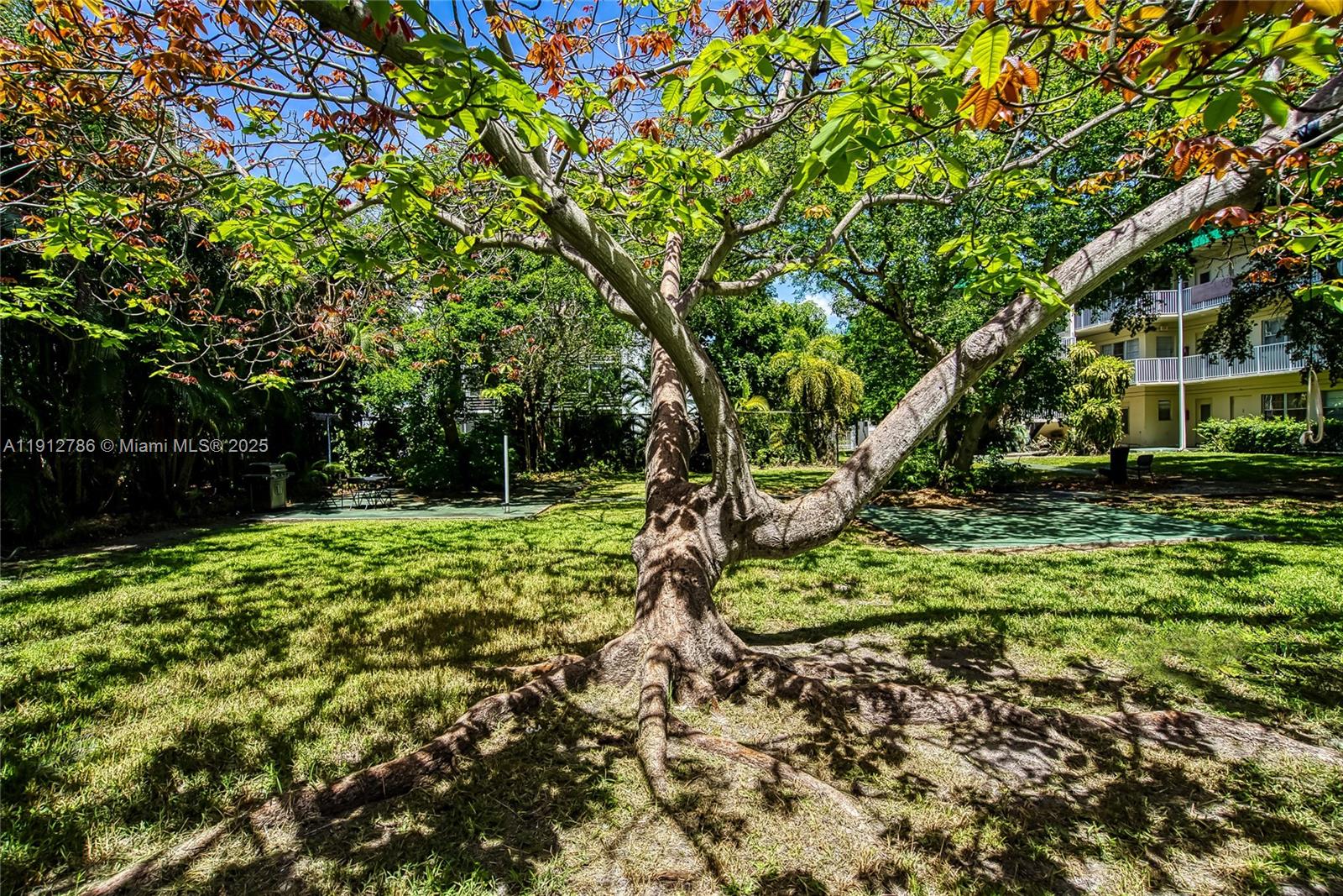 1420 Atlantic Shores Boulevard, Unit 340 Hallandale Beach, FL 33009 - Photo 25 of 33 a view of a backyard with large trees