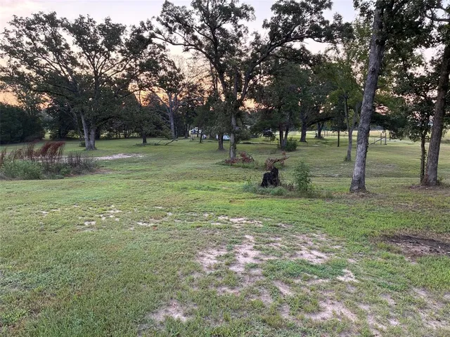 a view of a park with large trees
