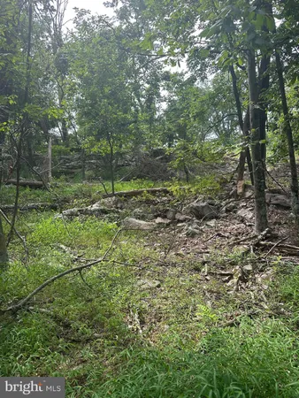 $49,000 | 3 Blumb Lane, Great Cacapon, WV 25422