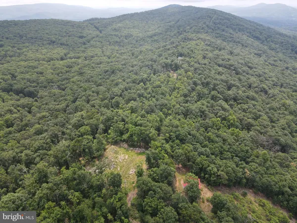 a view of a trees in a field