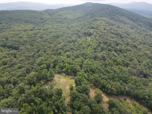 a view of a trees in a field