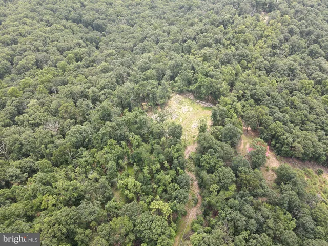 a view of a mountain range with lush green forest