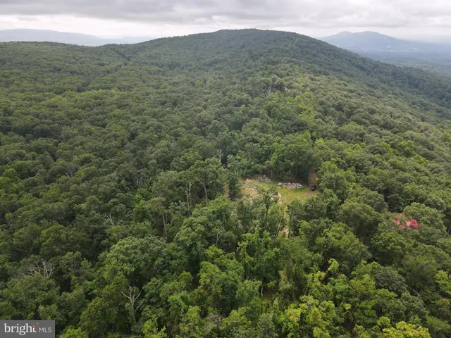 a view of a yard with an outdoor space